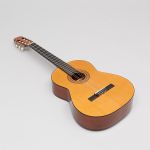 1017 6426 Gitarr